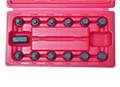 Головка для маслосливных пробок 13 предметов в кейсе JTC JTC-1117